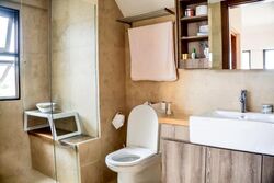 Holland Link (D10), Terrace #635575651